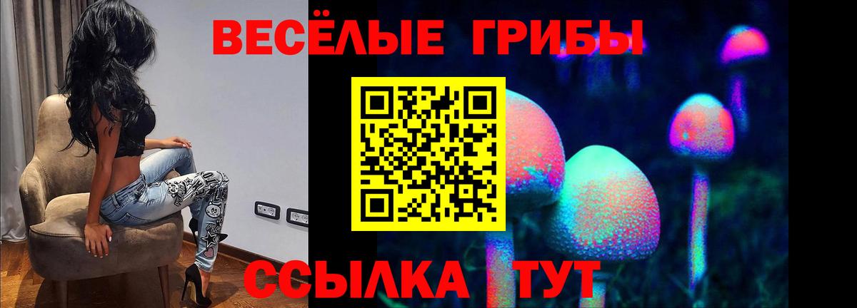 Псилоцибиновые грибы мухоморы  Вход с VPN  Ивантеевка 